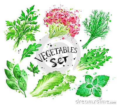 Watercolor set of green vegetables Stock Photo