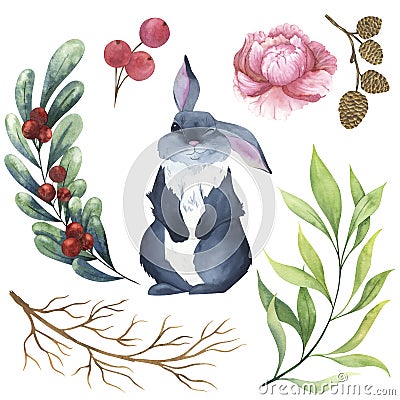 A watercolor set of holiday elements. Gray rabbit, pink peony, lingonberry, aspen cones and branches. Stock Photo