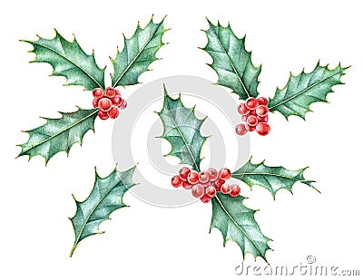 Watercolor set of holly berry, symbol of Christmas and New Year. Stock Photo