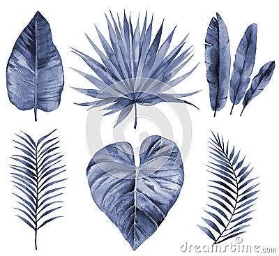 Watercolor set of leaves. Navy Blue tropical foliage. Watercolour illustration isolated on white. Cartoon Illustration