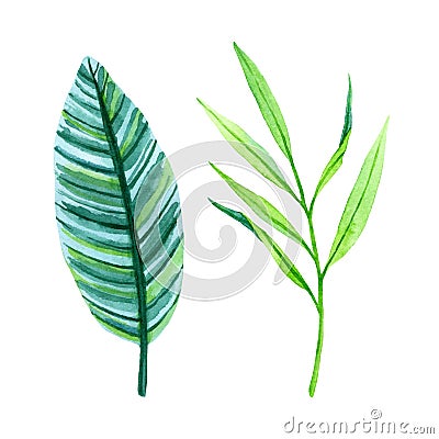 Watercolor set of lush greenery of tropical plants Stock Photo