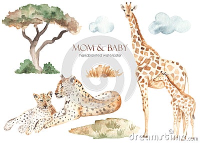 Watercolor set mom and baby Africa leopards, giraffes, dried flowers, clouds Stock Photo