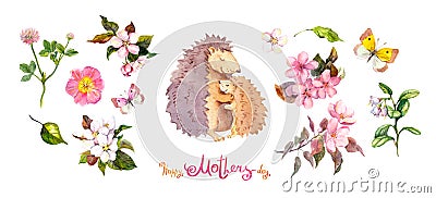 Watercolor set for Mother`s day: Mom hedgehog animal hugging her child, flowers cherry blossom, leaves, butterflies Stock Photo