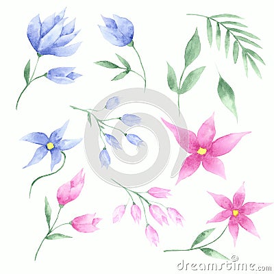 Watercolor set of pink and blue flowers, tulips and leaves Stock Photo