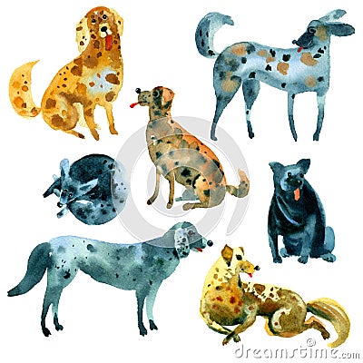 Watercolor Set of sketches of dogs. Stock Photo