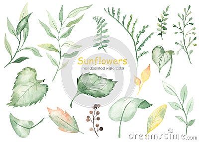 Watercolor set with sunflower leaves, branches, berries, foliage, leaves Stock Photo