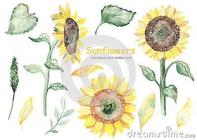 Watercolor set with sunflowers, sunflower sideways, sunflower cakes, leaves, sunflower stem Stock Photo