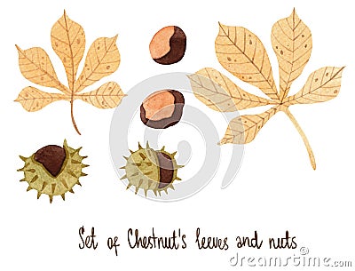 Watercolor set with tender chestnut leaves with nuts Cartoon Illustration