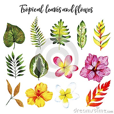 Watercolor set with tropical leaves and flowers Vector Illustration