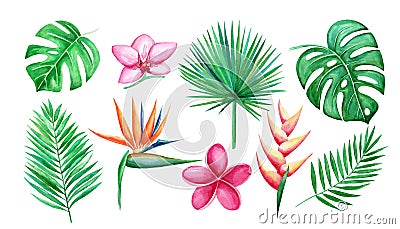 Watercolor set of Tropical leaves and flowers isolated elements on white background. Hand-drawn illustration Cartoon Illustration