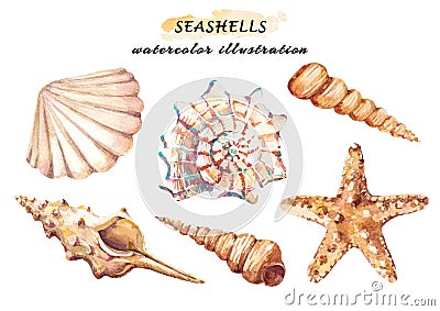 Watercolor set of underwater life objects - various tropical seashells and starfish. Cartoon Illustration