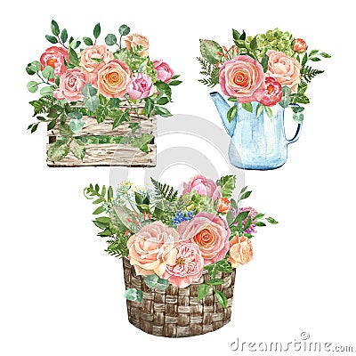 Watercolor shabby chic flower arrangements set, isolated. Blush pink roses in basket and rustic vase. Valentines day, Mothers day Cartoon Illustration