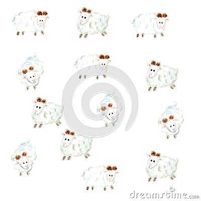 Watercolor nice sheeps background on white Cartoon Illustration