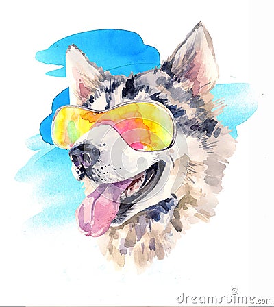 Watercolor siberian husky dog in cool sun glasses Cartoon Illustration