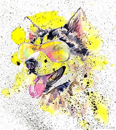 Watercolor siberian husky dog in glasses and yellow splashes Stock Photo