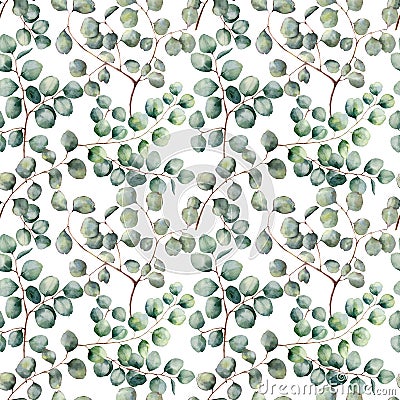 Watercolor silver dollar eucalyptus big seamless pattern. Hand painted beautiful eucalyptus branch isolated on white Cartoon Illustration