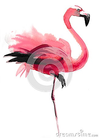 Pink flamingo Stock Photo