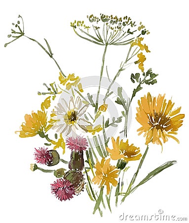 Watercolor sketch of wildflowers bouquet Vector Illustration