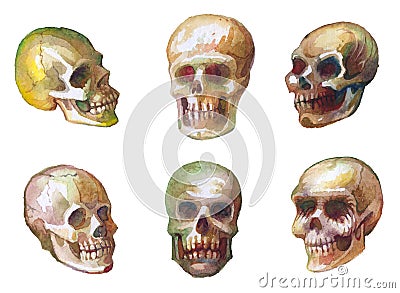 Watercolor sketches of skulls. Drawing paint on paper. Seamless woven pattern. Stock Photo