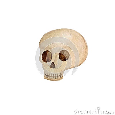 Watercolor skull beige halloween Stock Photo