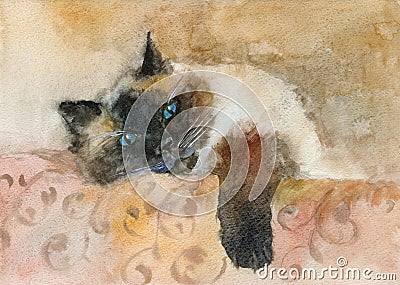 Watercolor sleeping color-point cat Stock Photo