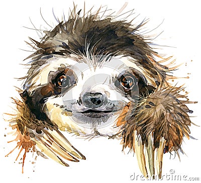 Watercolor sloth illustration. tropical animal Cartoon Illustration