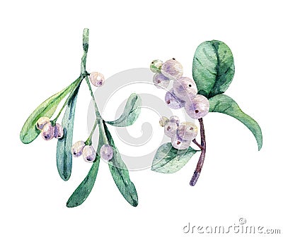 Watercolor snowberry and mistletoe set. Hand painted snowberry branch with white berry isolated on white background Stock Photo