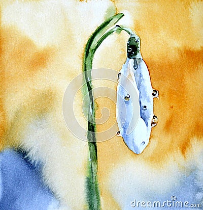 Watercolor snowdrop flower. Spring picture with white flower Stock Photo