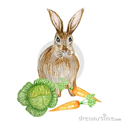 Watercolor sping Easter rabbit illustration cute funny bunny with vegetables carrot isolated on white background, card Cartoon Illustration