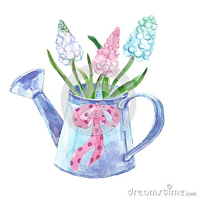 Watercolor spring floral bouquet in a vintage pot. Set of hand painted muskari flowers in a rustic watering can. Stock Photo