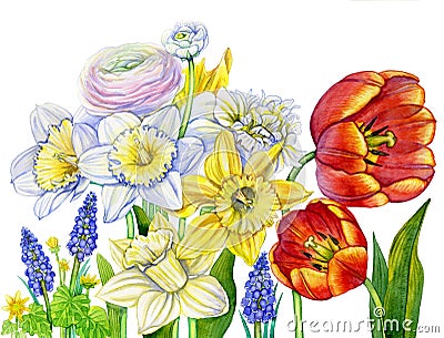 Watercolor spring flowers blooming Stock Photo