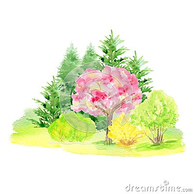 Watercolor Spring landscape, sakura pink flowers trees and yellow forsythia bush, Green nature forest landscape, scenery Cartoon Illustration