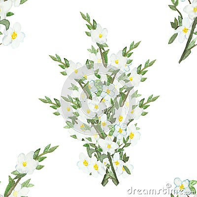 Watercolor openwork frame of Apple branches with white flowers..Seamless pattern of Apple branches with white flowers isolated on Stock Photo