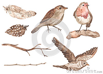 Watercolor spring migratory birds, robin, lark, nightingale, feathers, twigs Stock Photo