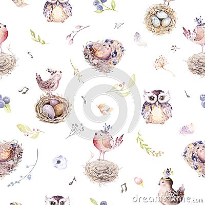 Watercolor spring rustic pattern with nest, birds, branch,tree twigs and feather. Watercolour seamless hand drawn bird Cartoon Illustration