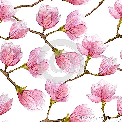 Watercolor spring seamless pattern with blooming magnolia tree isolated on white background. Stock Photo