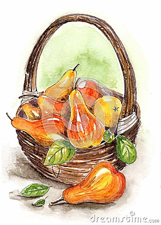 Watercolor still life with a basket of pears Stock Photo