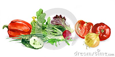 Watercolor food. Fresh vegetables Stock Photo
