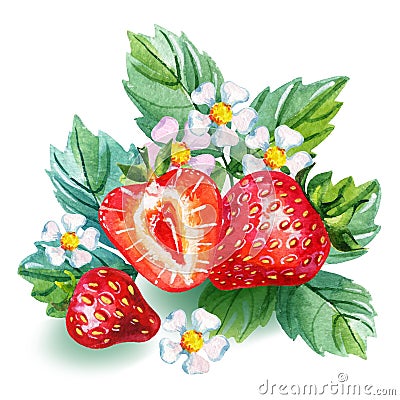Watercolor strawberry card. Cartoon Illustration