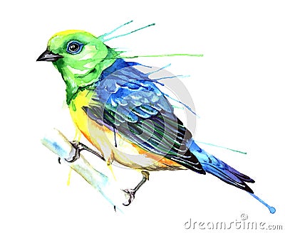 Watercolor style vector illustration of bird. Vector Illustration