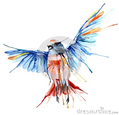 Watercolor-style vector illustration of bird. Vector Illustration