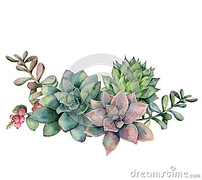 Watercolor succulent bouquet with berries. Hand painted green and violet flowers, branch and red berries isolated on Cartoon Illustration