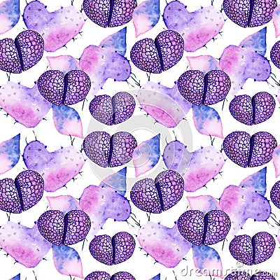 Watercolor succulents, cactus and living stones seamless pattern. Stock Photo