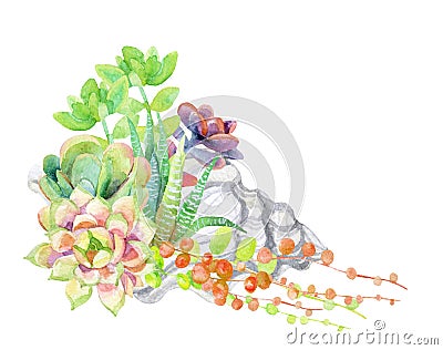 Watercolor succulents card. Cartoon Illustration