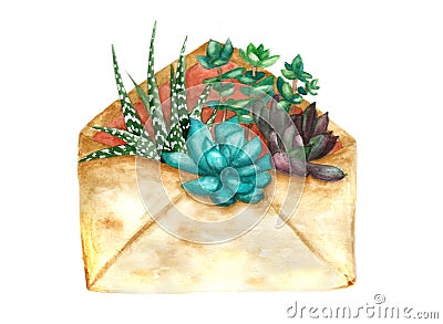 Watercolor succulents in envelope Stock Photo