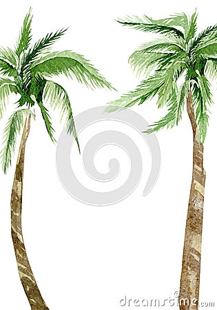Watercolor summer beach palm tree. Frame greenery for wedding card, baby shower decor Stock Photo