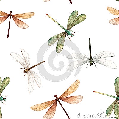 Watercolor summer dragonfly insect colourful seamless pattern Stock Photo