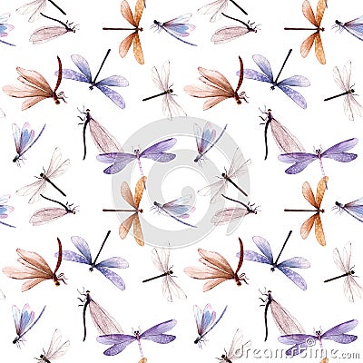 Watercolor summer dragonfly insect colourful seamless pattern Stock Photo