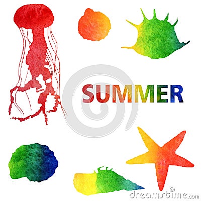 Watercolor summer illustration. Set of rainbow jelly-fish and shells Cartoon Illustration