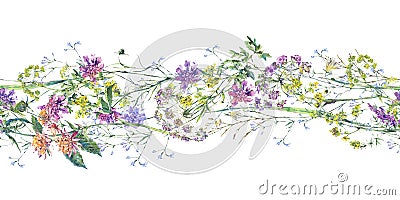 Watercolor summer wildflowers seamless border Botanical colorful illustration Cartoon Illustration